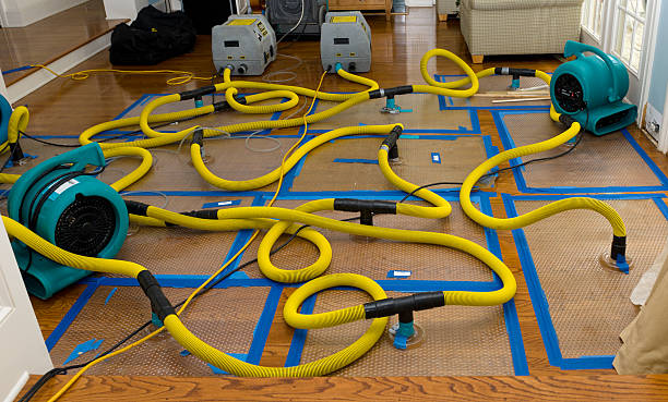 Professional Flood Damage Restoration technician working in Ocheyedan, IA